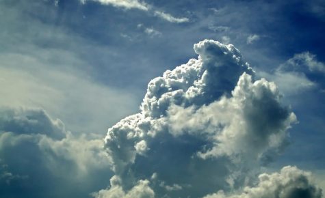 Active Monsoon Season Leads to Near Record Rainfall at NMSU