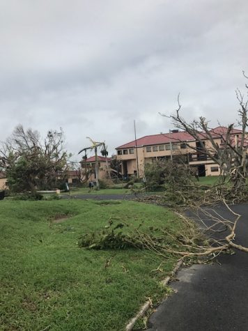This picture shows some of the destruction NMSU student Jordan Apel witnessed while trying to endure Hurricane Maria. Photo courtesy of Apel.
