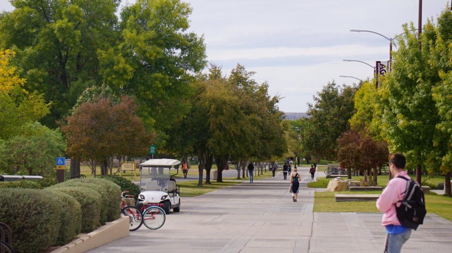 The path looking towards the campus from The Pan American Center.