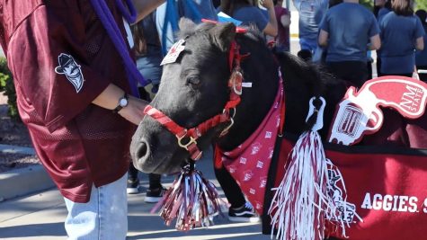 VIDEO: 2018 Homecoming parade