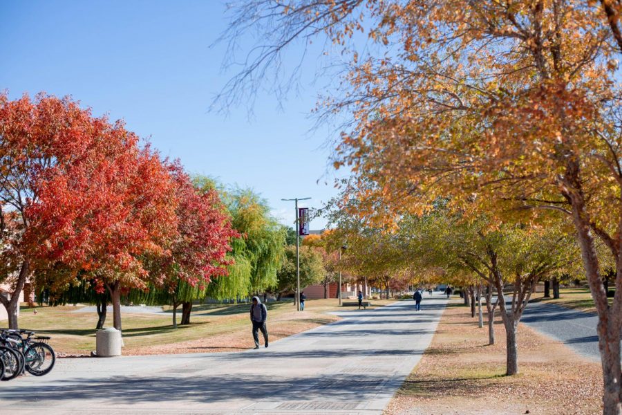 Campus+begins+to+have+a+Fall+look+to+it+as+students+prepare+to+leave+for+Thanksgiving+break.+
