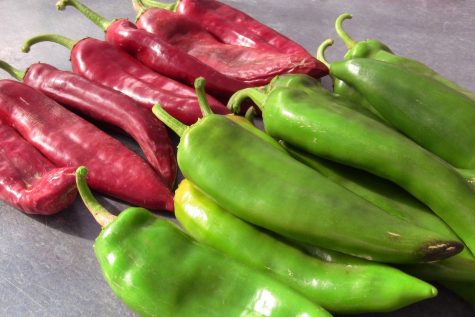 New Mexico Chile heads to space