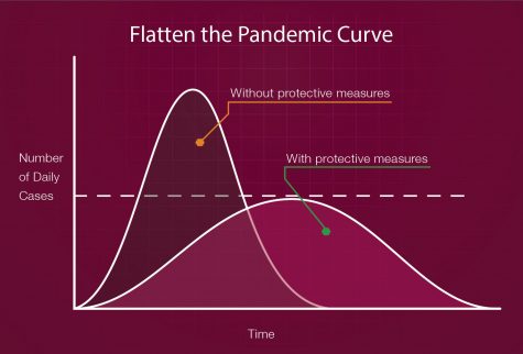 Flattening the Curve: How to stop the spread of COVID-19 in New Mexico