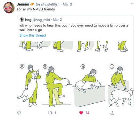 Round Up Lifestyle: NMSU Tweets of the Week