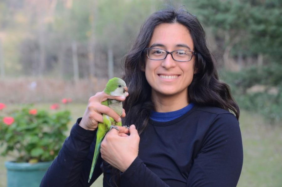 Grace+Smith-Vidaurre%2C+NMSU+Ph.+D.+student%2C+shown+here+releasing+a+monk+parakeet+in+Uruguay.+Vidaurre+received+the+prestigious+NSF+Postdoctoral+Fellowship+to+begin+next+year+after+she+receives+her+doctorate+from+NMSU+in+December.+%28Courtesy+Photo+by+Tania+Molina+Medrano