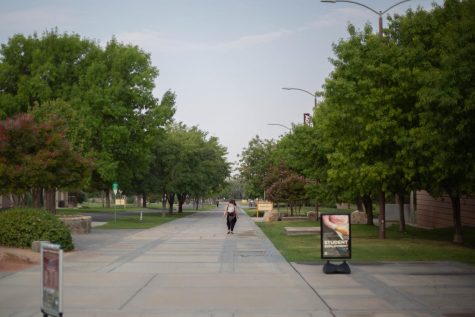 NMSU discussed the possibility of optional random testing for COVID-19 at a town hall meeting Sept. 22.