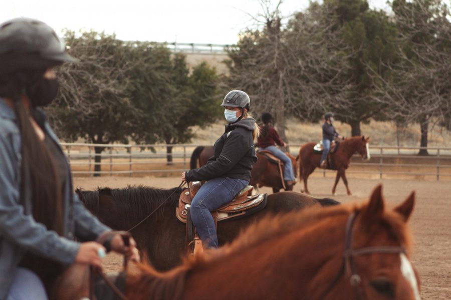 NMSU Equestrian team practices on the west end of campus near the College of Aces on Jan. 30. 