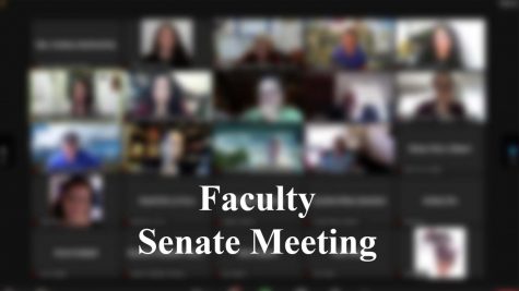 Faculty Senate Diversity, Equity and Inclusion Committee discusses Resolution 04-21/22