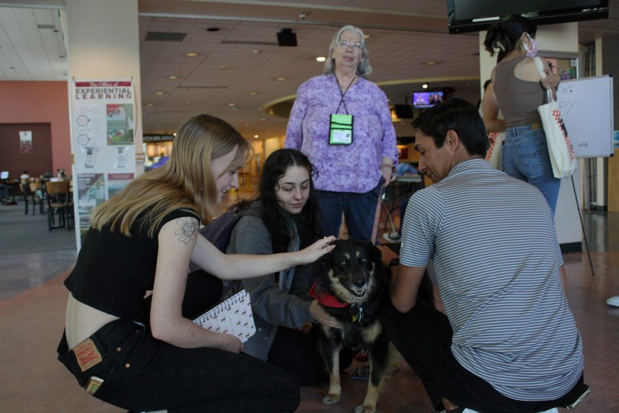 Three NMSU students pet the therapy dog, Tony, as she visits NMSU. Date taken: April 6, 2022.