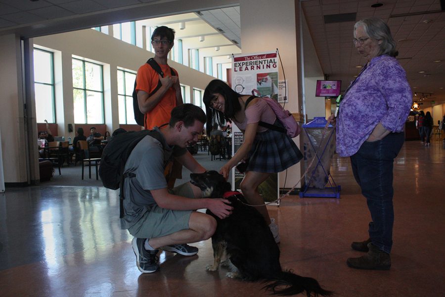 Two NMSU students pet the therapy dog, Tony, as she visits NMSU. Date taken: April 6, 2022.
