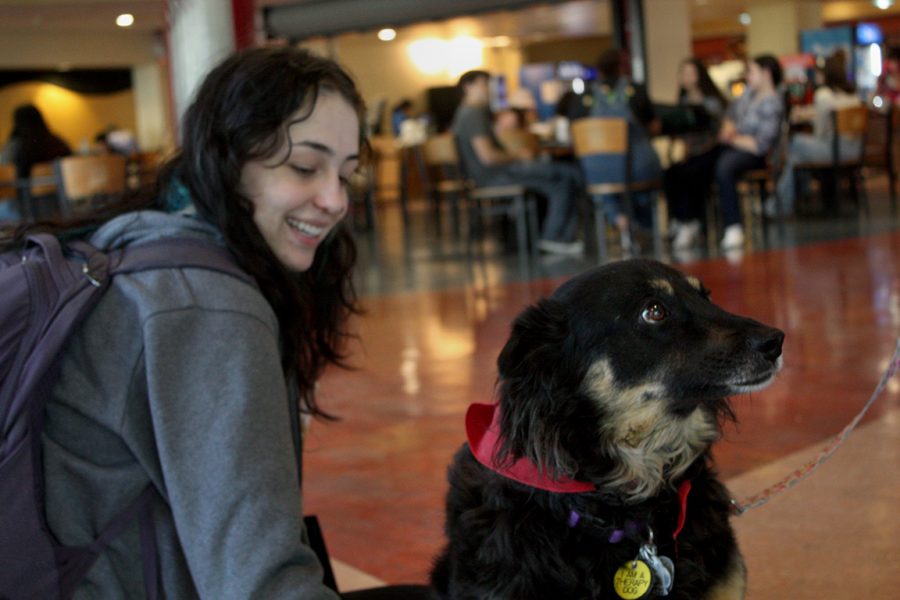 NMSU student pets the therapy dog, Tony, as she visits NMSU. Date taken: April 6, 2022.