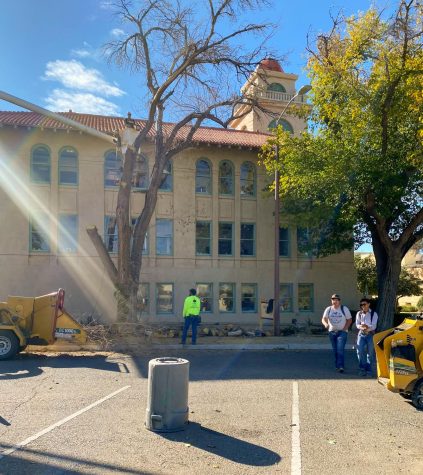 Ecosystem disruption: Why trees are being removed around NMSU's campus -  NMSU Round Up