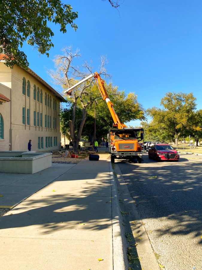 Workers begin taking down trees near Goddard Hall. Nov. 29, 2022.