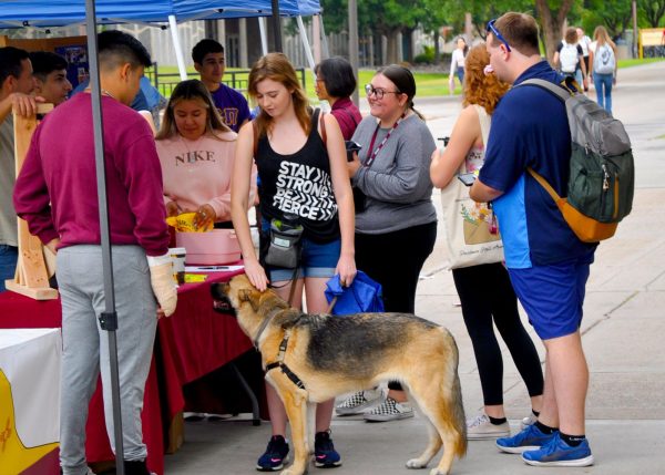 NMSU Students checking out a booth at Aggie Carnival on Aug. 23, 2023.
 