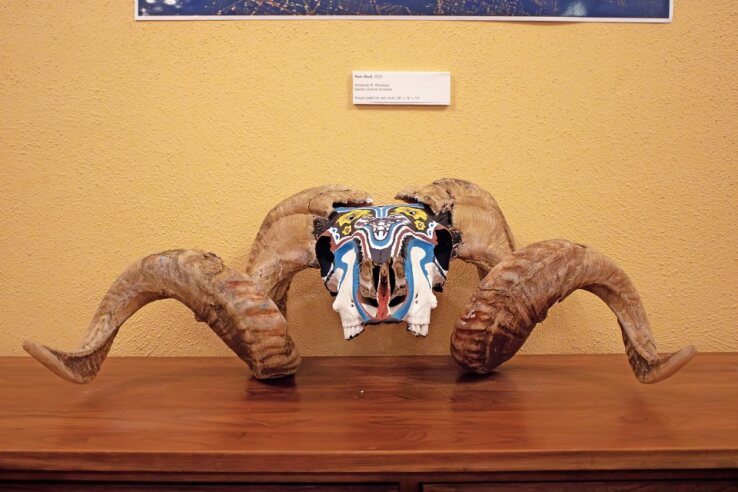 Ram Skull, created by Armondo R. Almanza won the Peoples Choice Award. Nov. 10, 2023.
