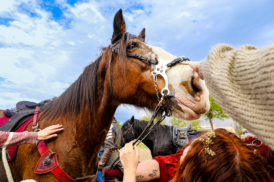 Las Cruces Renaissance Arts Faire draws in hundreds of visitors