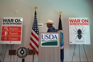 A rancher arrives for a news conference with U.S. Agriculture Secretary Brooke Rollins at the Knipling-Bushland U.S. Livestock Insects Research Laboratory in Kerrville, Texas, Monday, June 8, 2026. (AP Photo/Eric Gay)